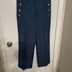Ann Taylor Factory Blue Textured Pants